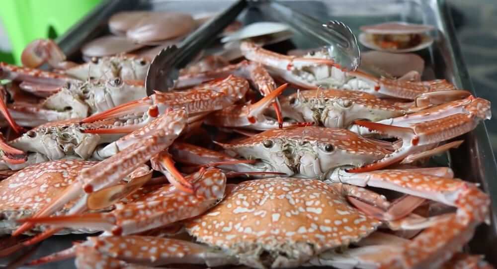 Thai Seafood Feast